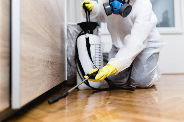 Trusted Lowell, MA Pest Control Experts