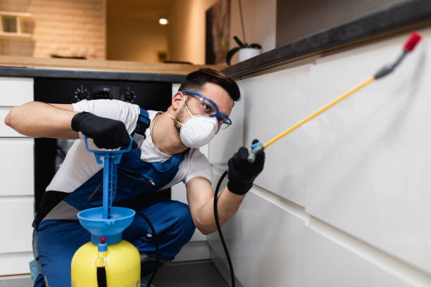 Best Pest Removal Services  in Lowell, MA