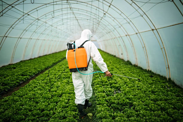 Best Pest Inspection Near Me  in Lowell, MA