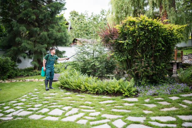 Best Affordable Pest Control Services  in Lowell, MA