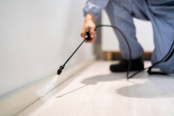 Best Commercial Pest Control Services  in Lowell, MA