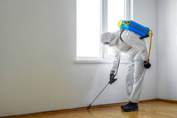 Best Flea Control Services  in Lowell, MA