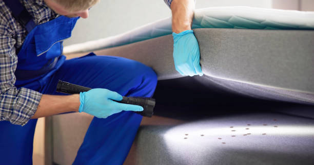 Best Exterminator Services  in Lowell, MA